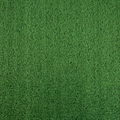 Искусственная трава Grass 10 мм - фото 17939